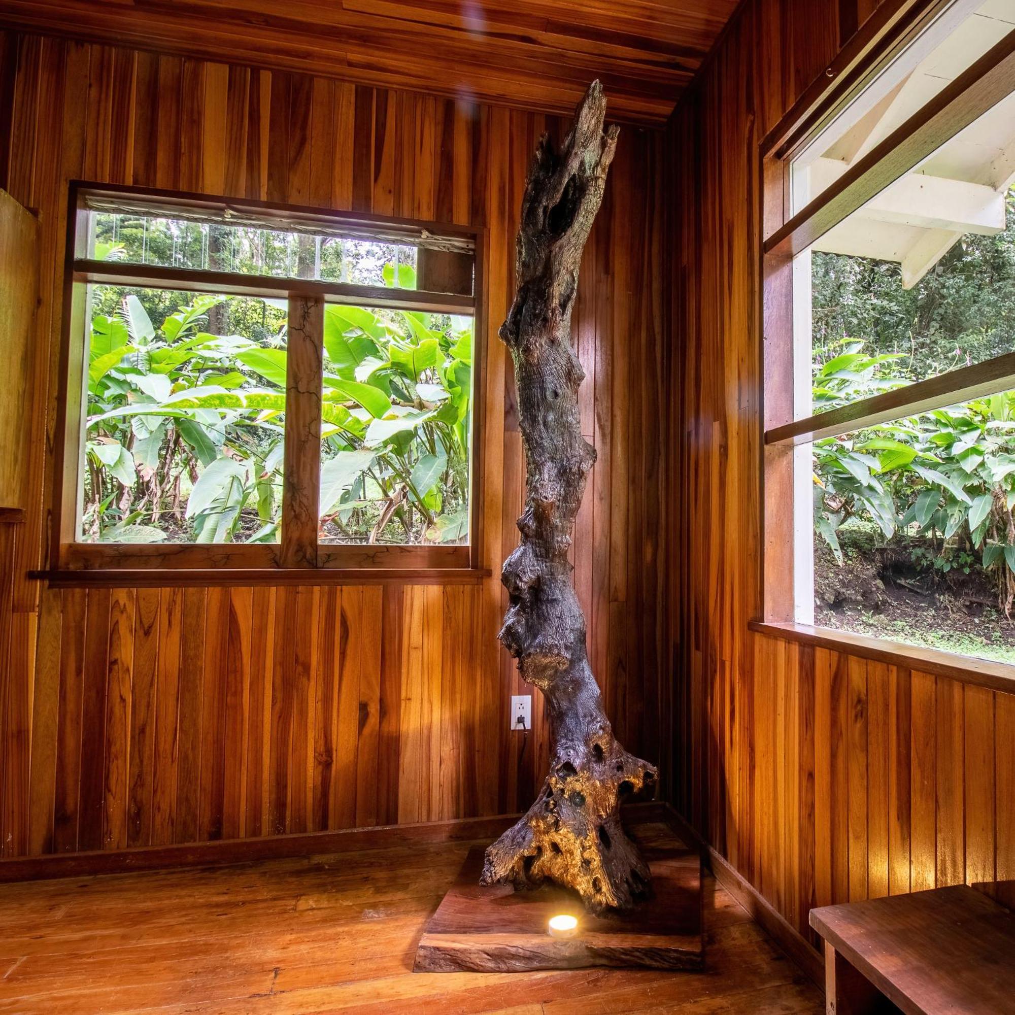 Forest Garden House Monteverde Eksteriør bilde