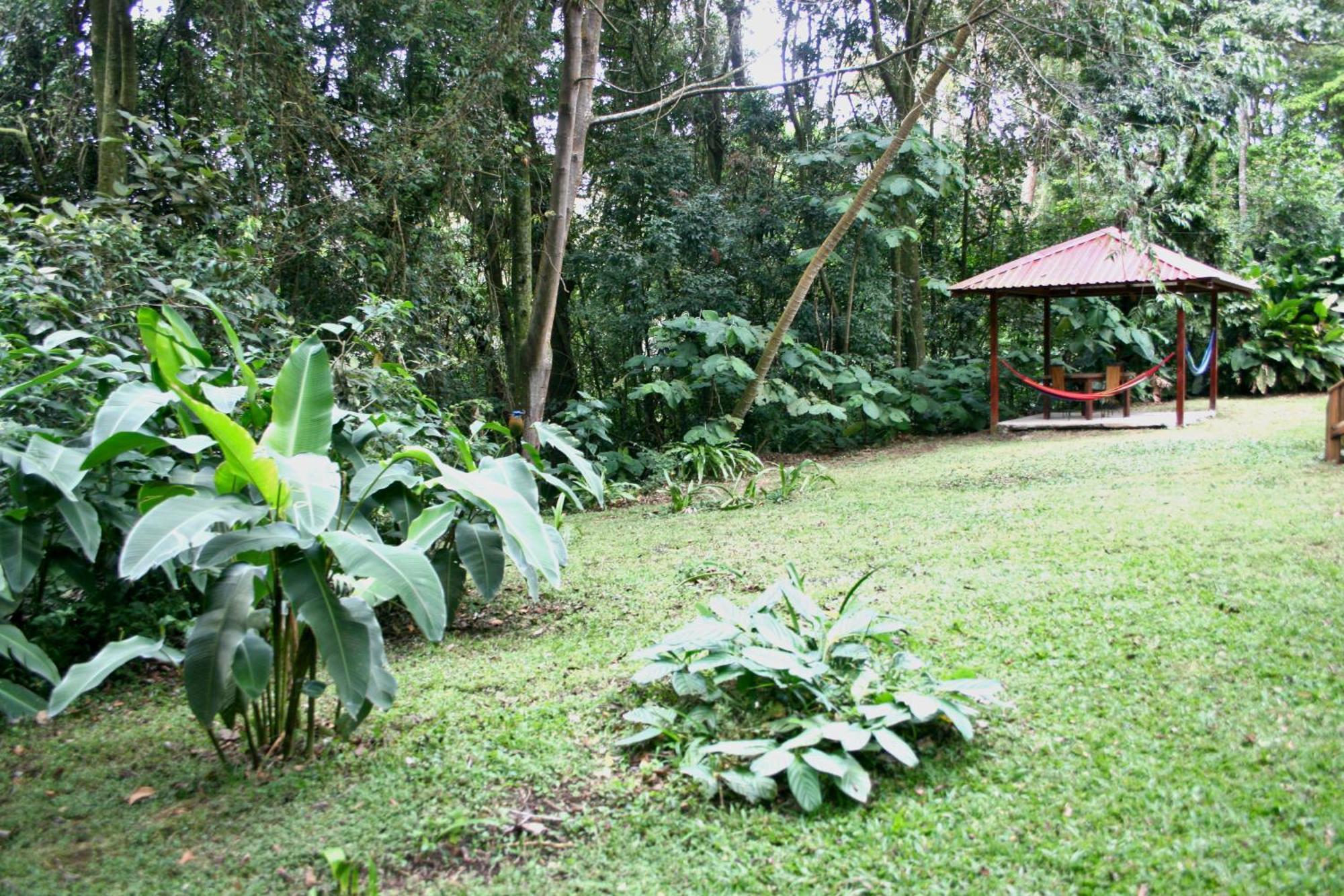 Forest Garden House Monteverde Eksteriør bilde
